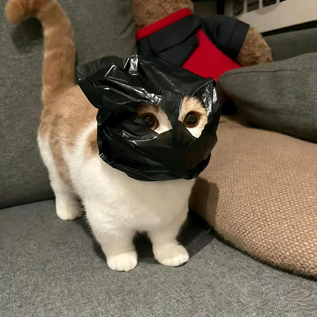 干净。