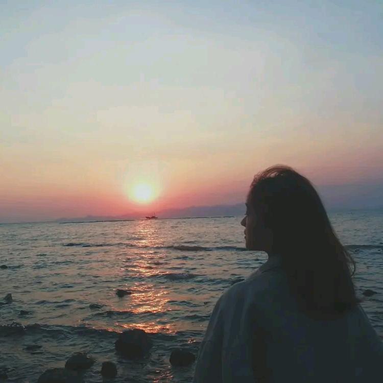 @树洞