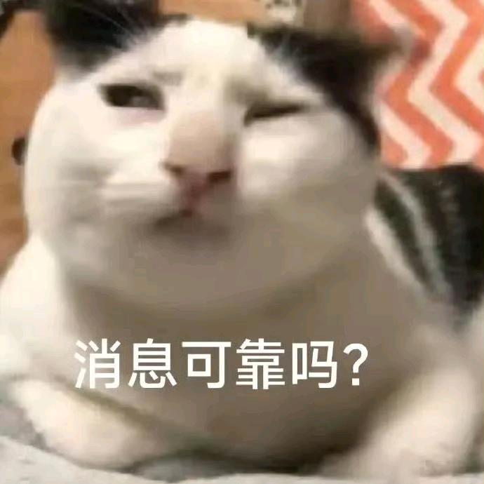 喵星人