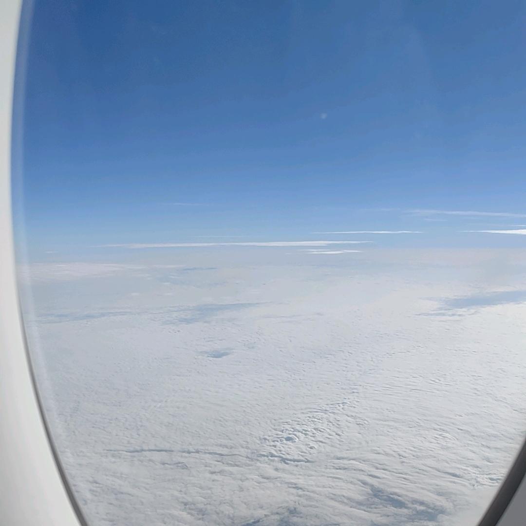 青城山下白素贞