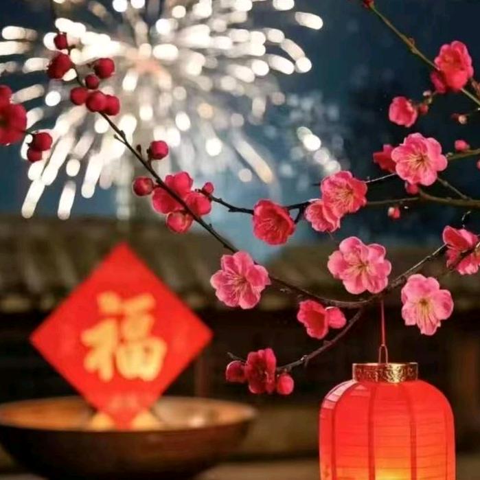 钢镚儿王