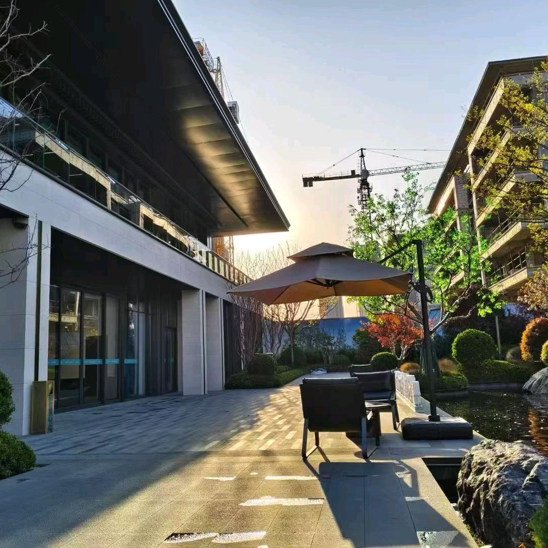 🍎财信双双🍎