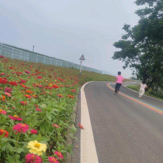 我家的小‘十一’