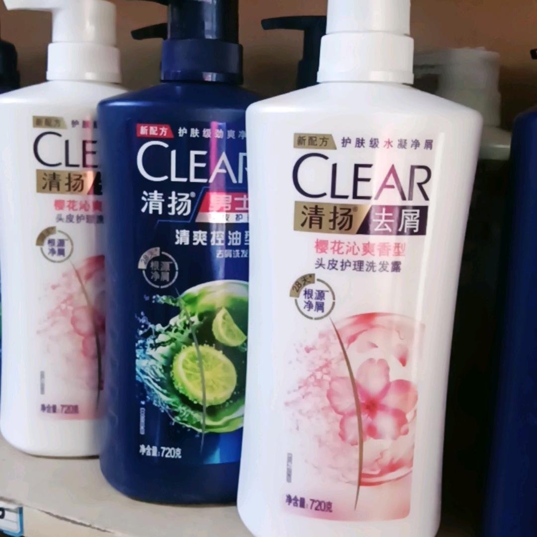常青树