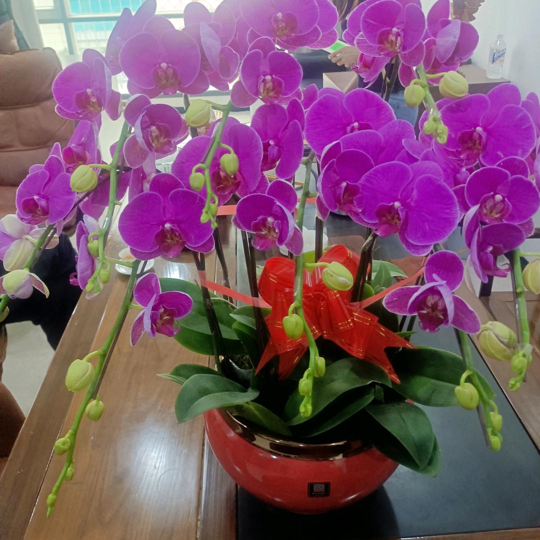 高瞻远瞩