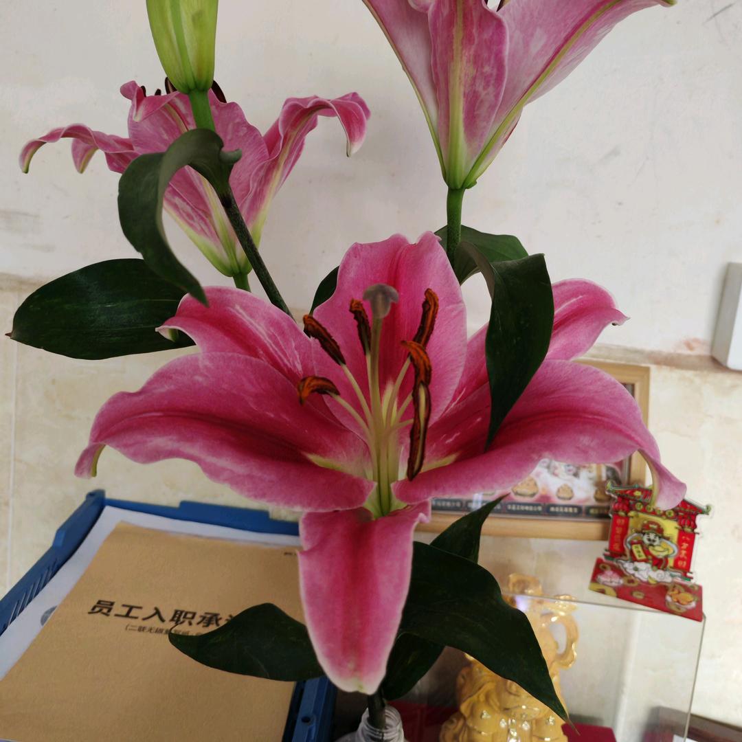 小小小只