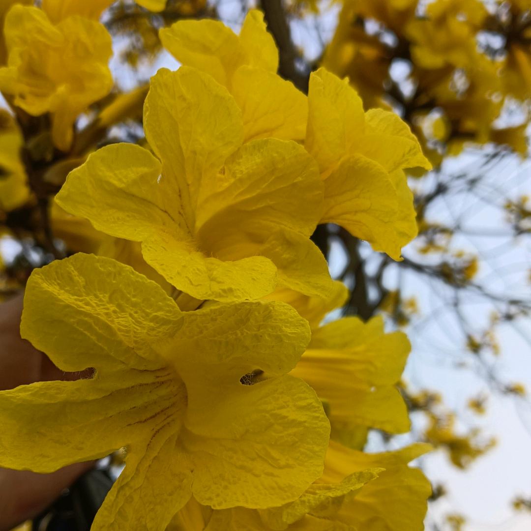 湘缘（快乐的单身族）