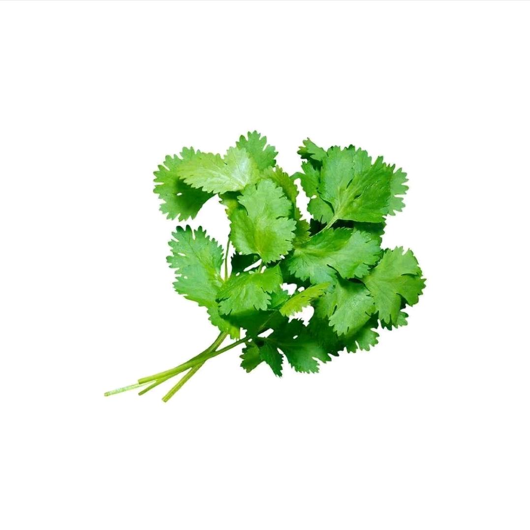 在逃香菜