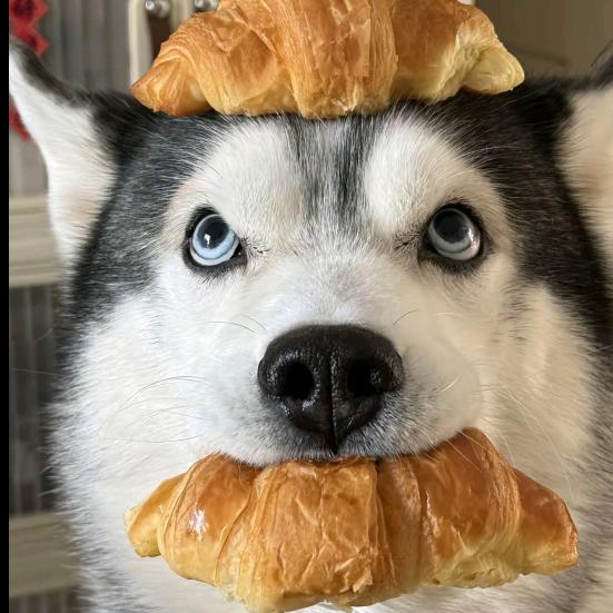 思念我剪掉的指甲