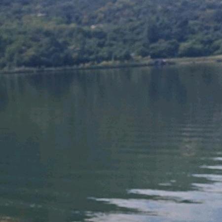 海鹰