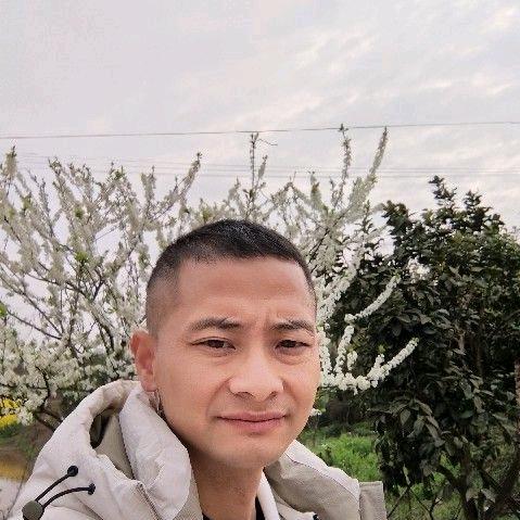 风雨过后