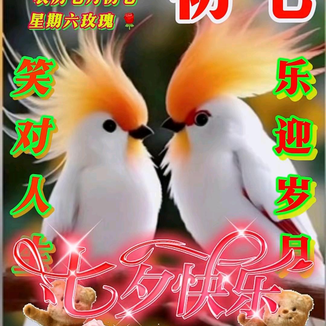 想思梦