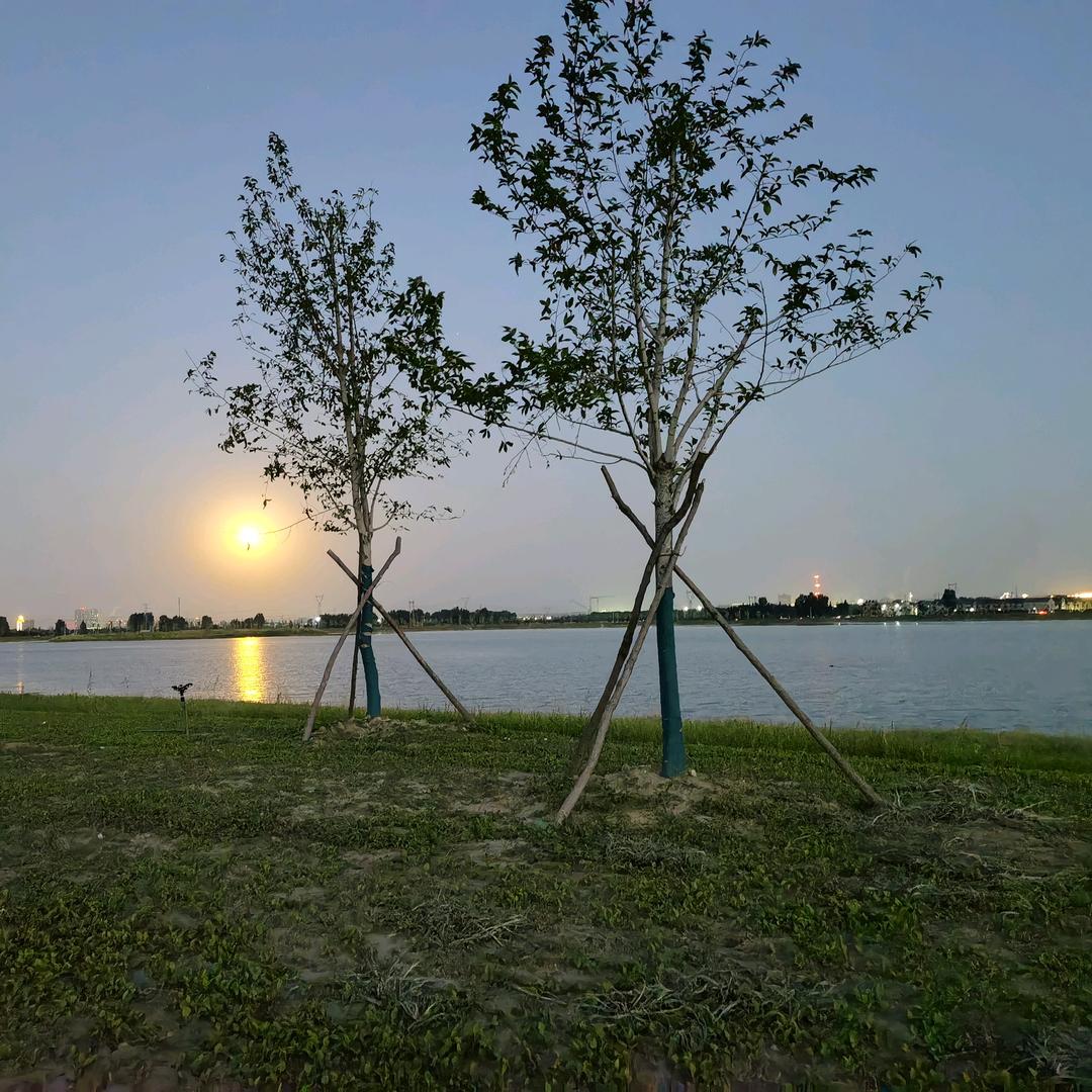 瑞可