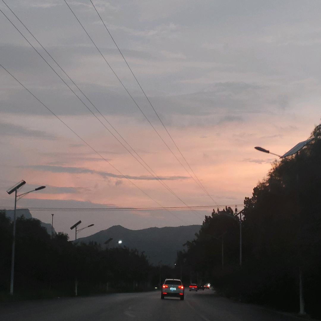 癞蛤