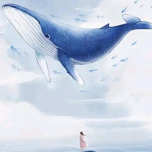 我叫静静呀105