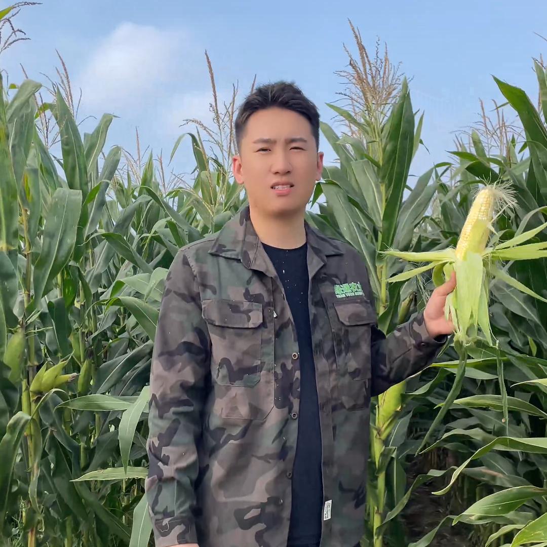 新农人小丁🌽