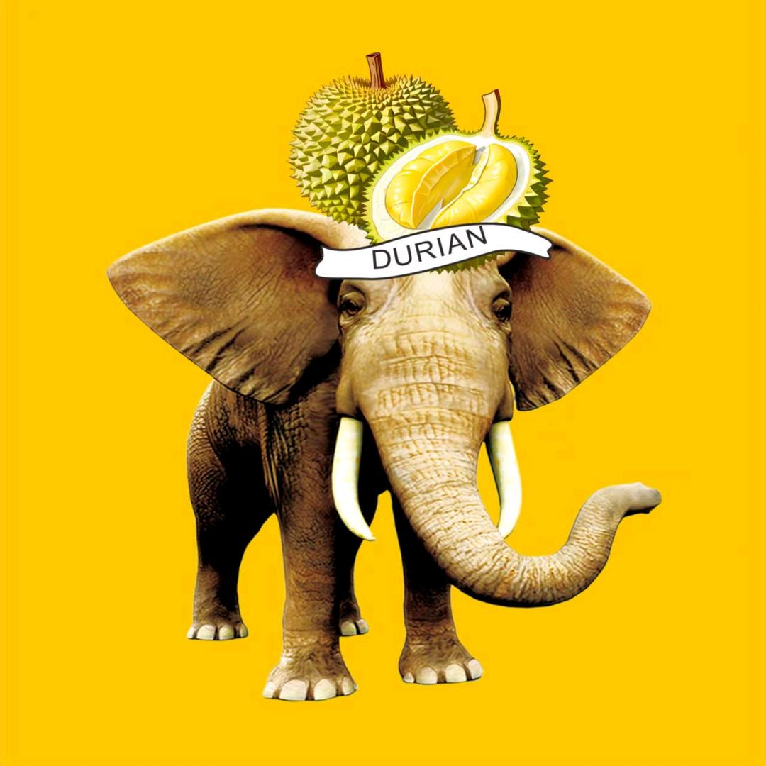 长春市三合尚品榴莲