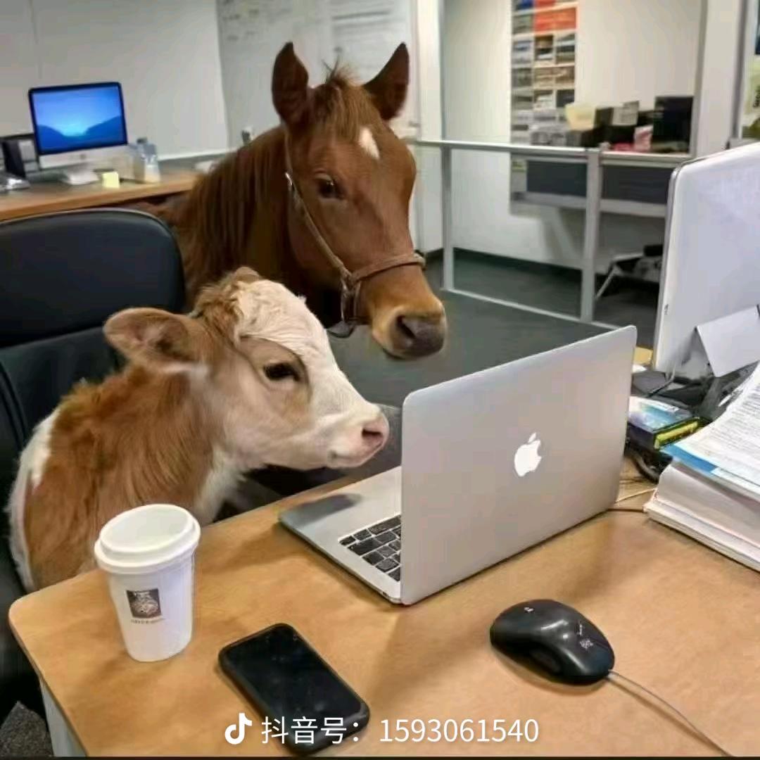 新亿豪高端系统门窗