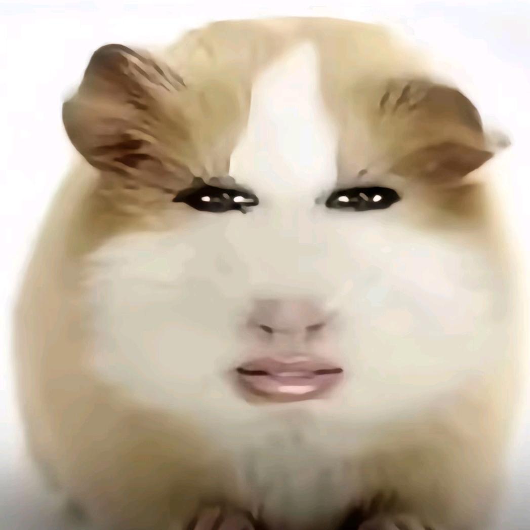 猪