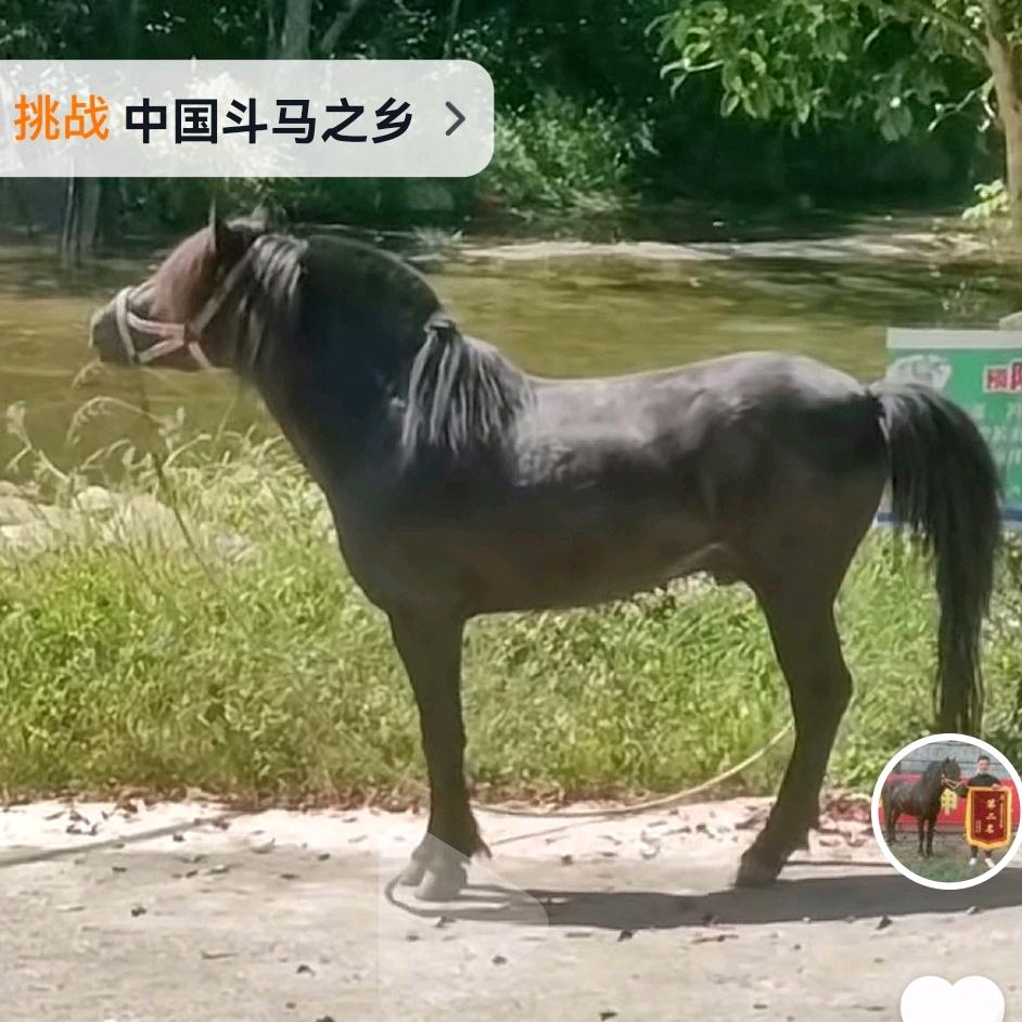 90后苗家小伙