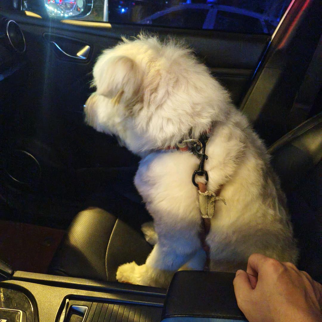 贵阳东潮出行网约车小杨