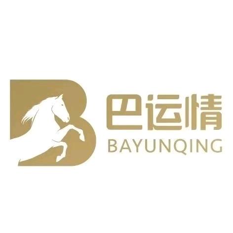 巴运国旅