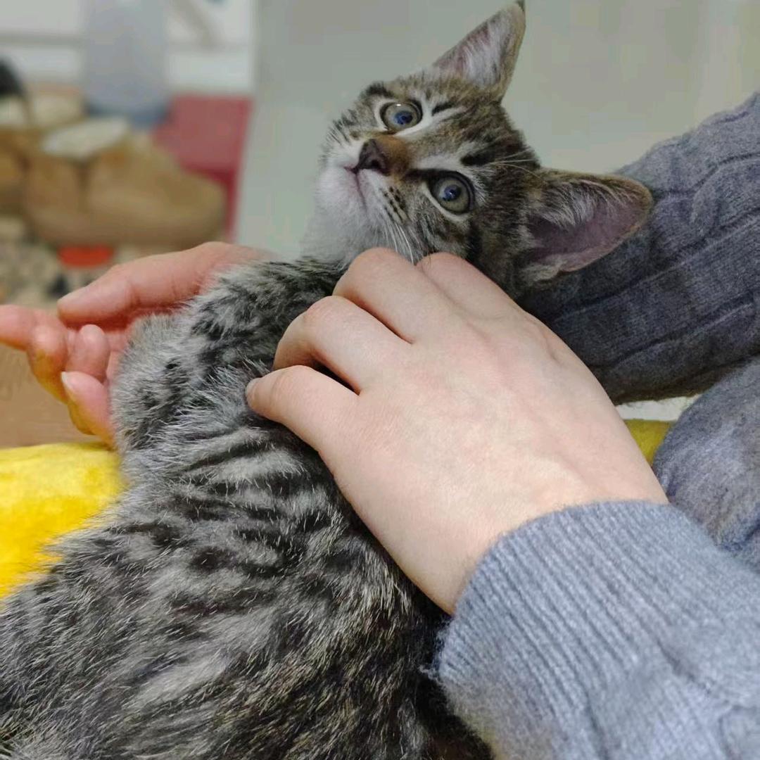 金豆豆and钱多多