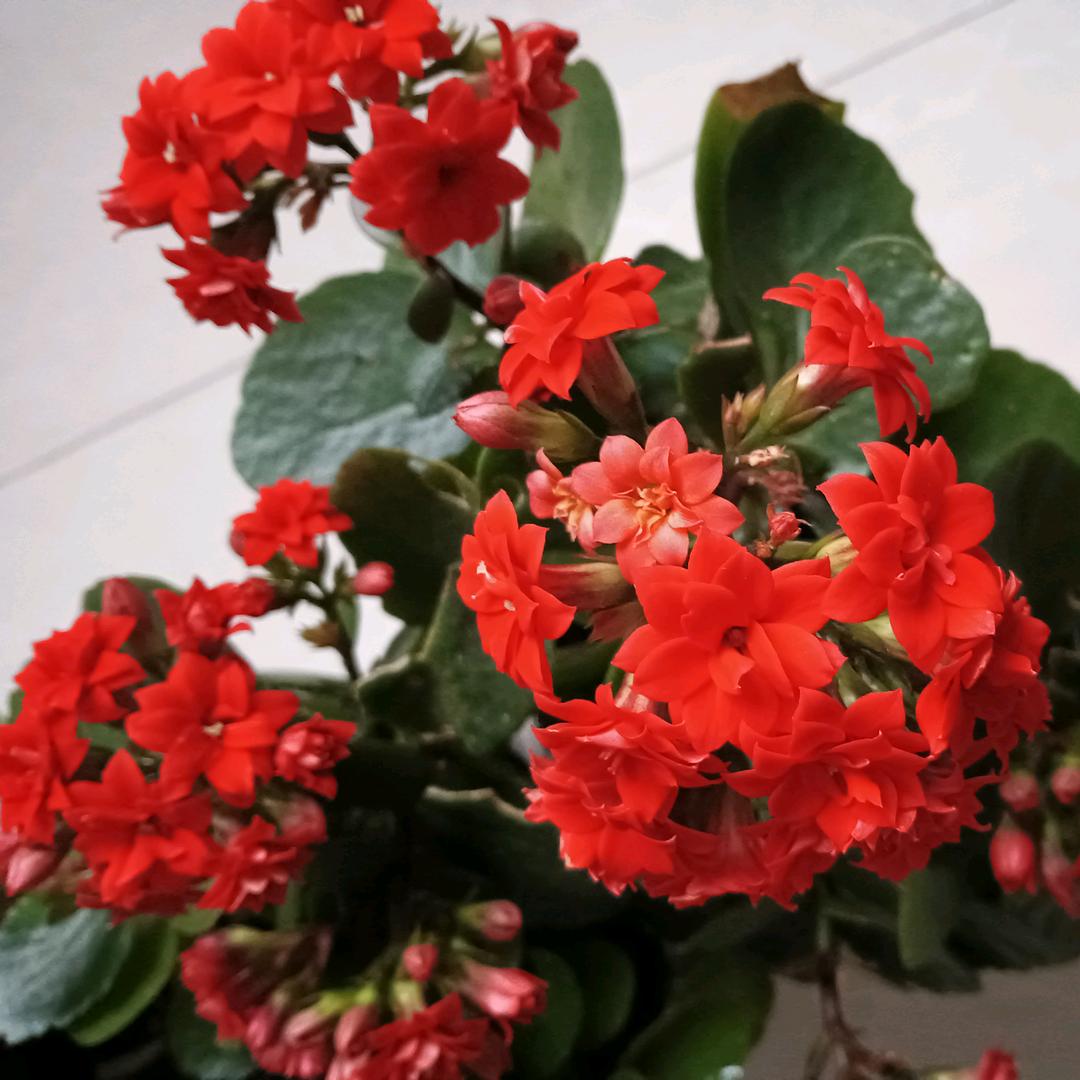 平安是福