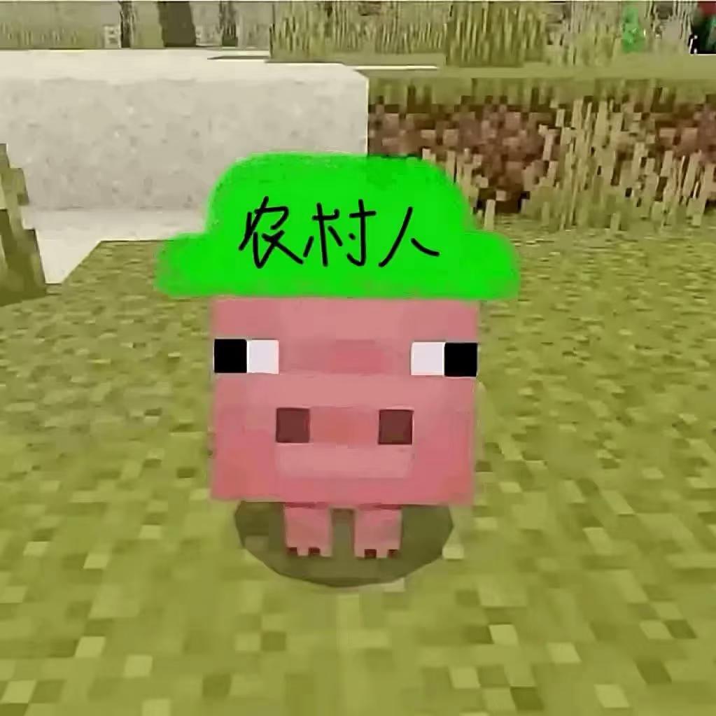 峤峤
