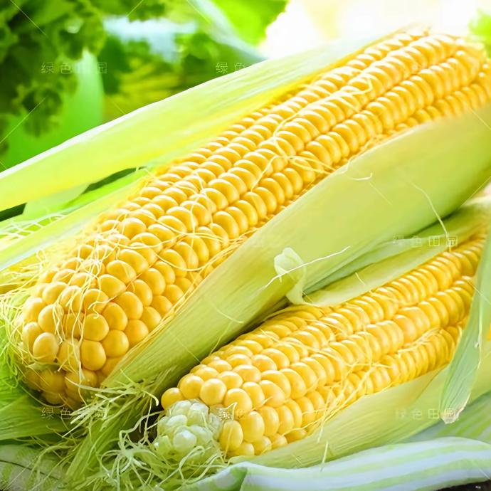 玉米棒