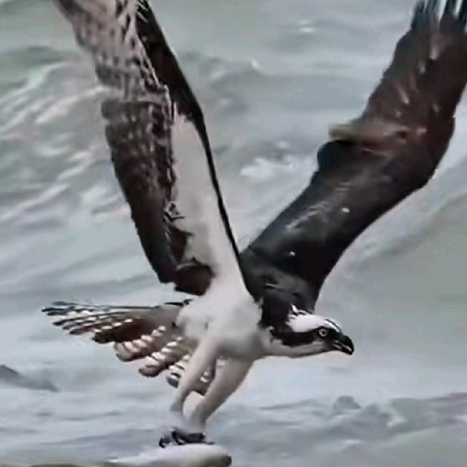 💔余生💞爱自己🌹