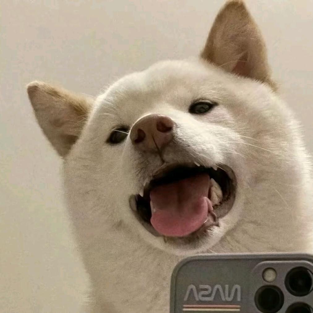 thirt