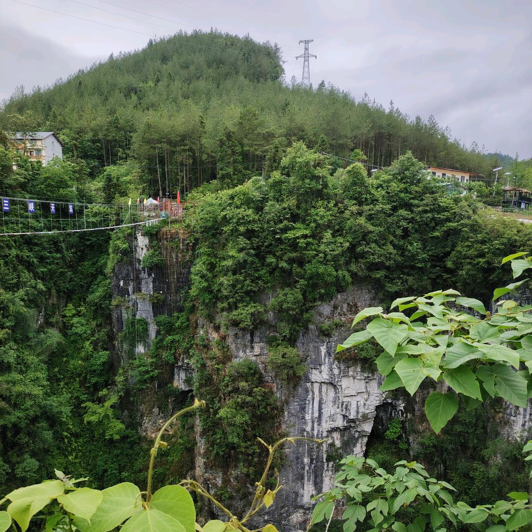 心已死