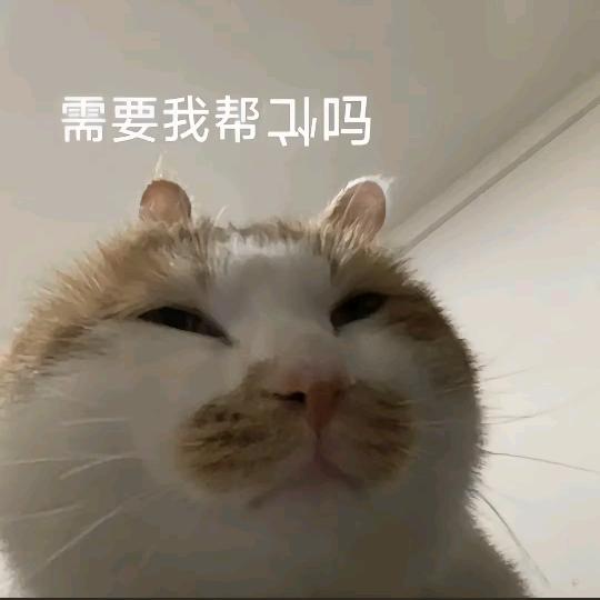 十月桃