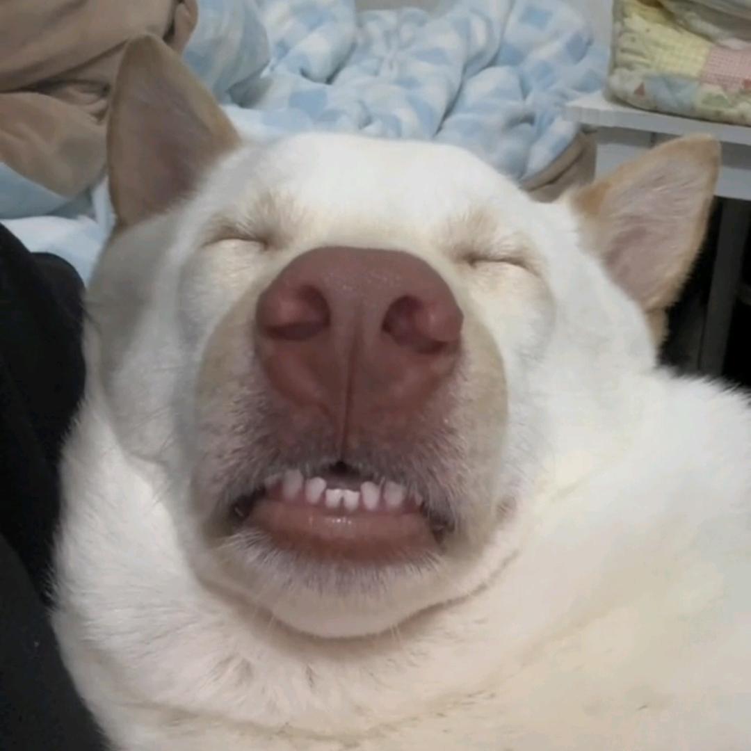 原野  等2.7万人