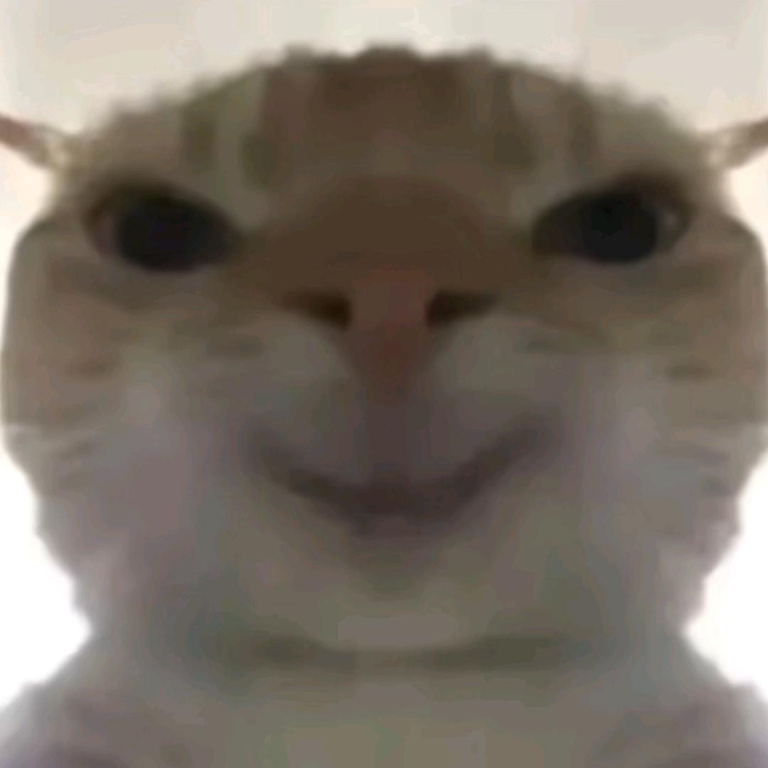 🐭