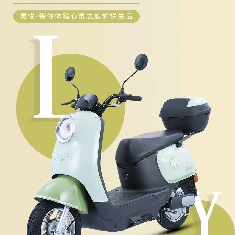 陕西绿驹—商洛段先生