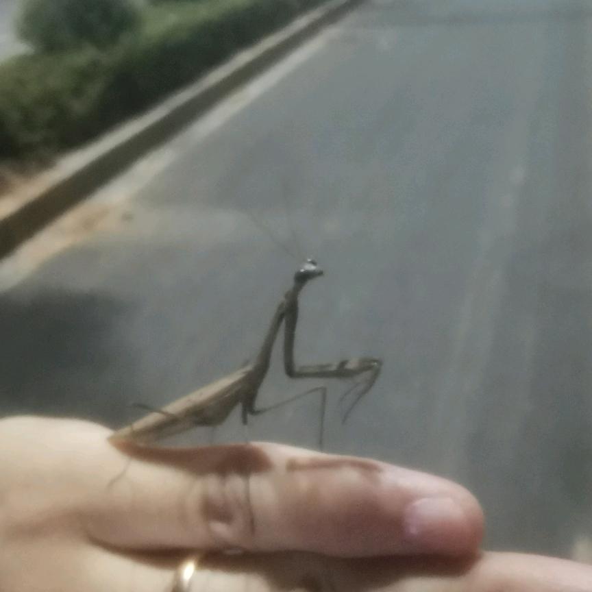 简工