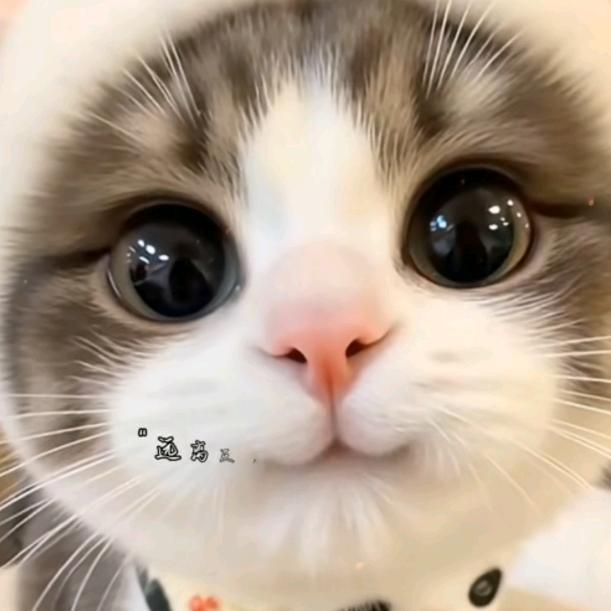 （启丰源不锈钢）杨