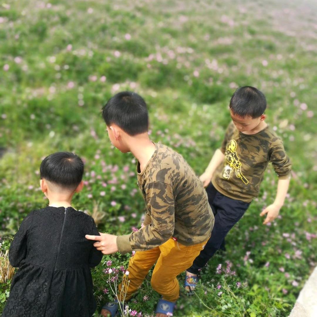 ㅤ芯蕊ㅤㅤㅤㅤㅤㅤㅤㅤㅤㅤㅤ