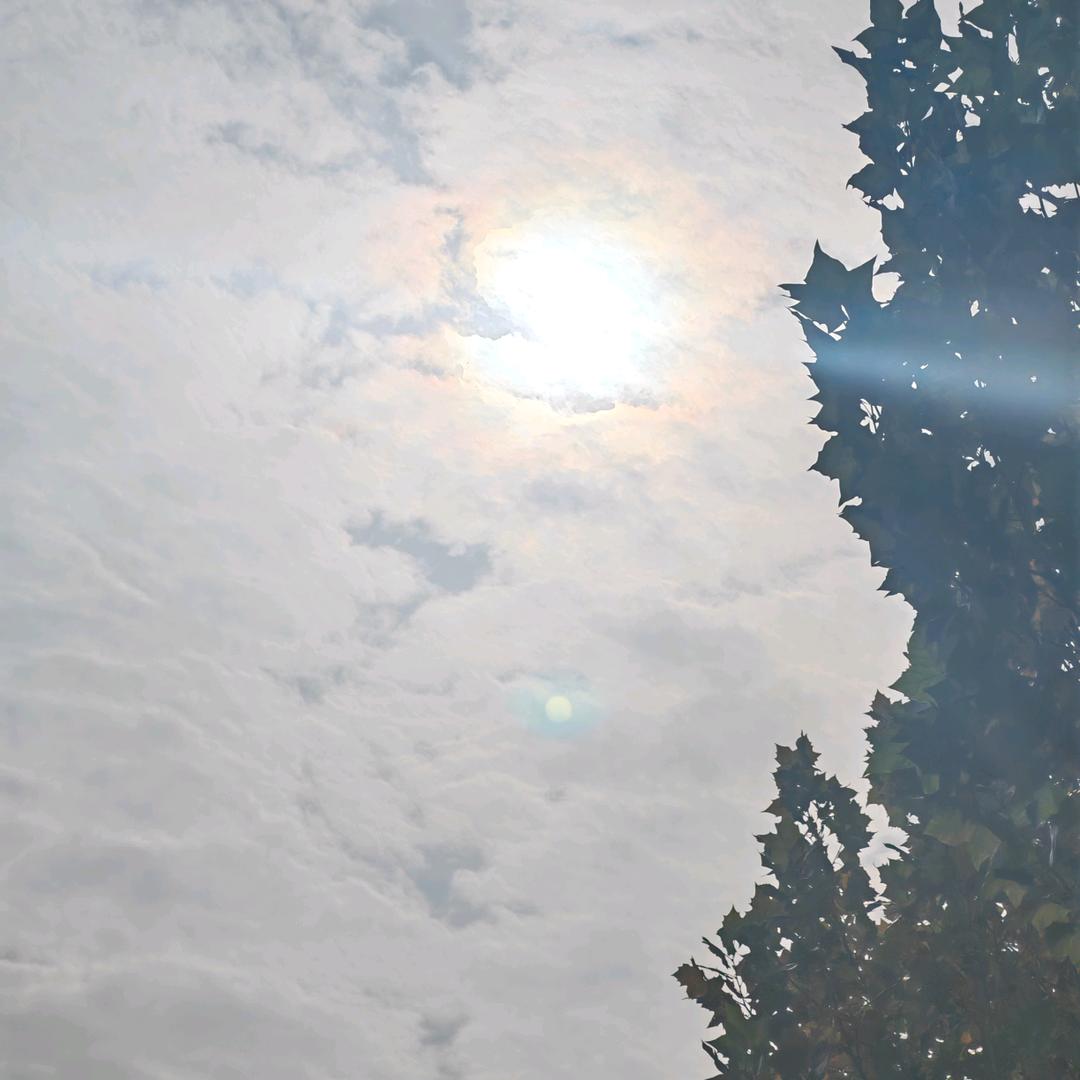 大云（老实念佛）