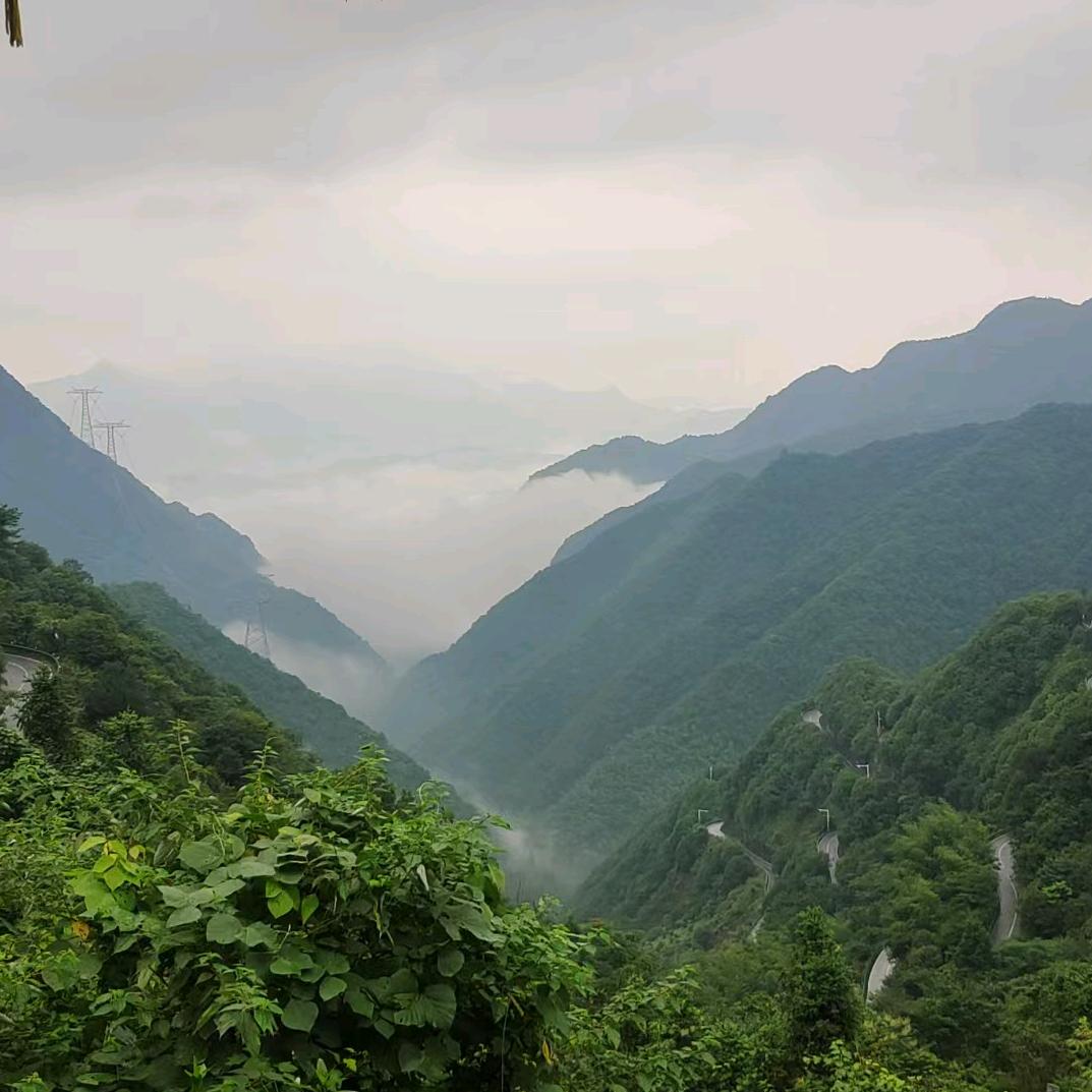 筱筱世界