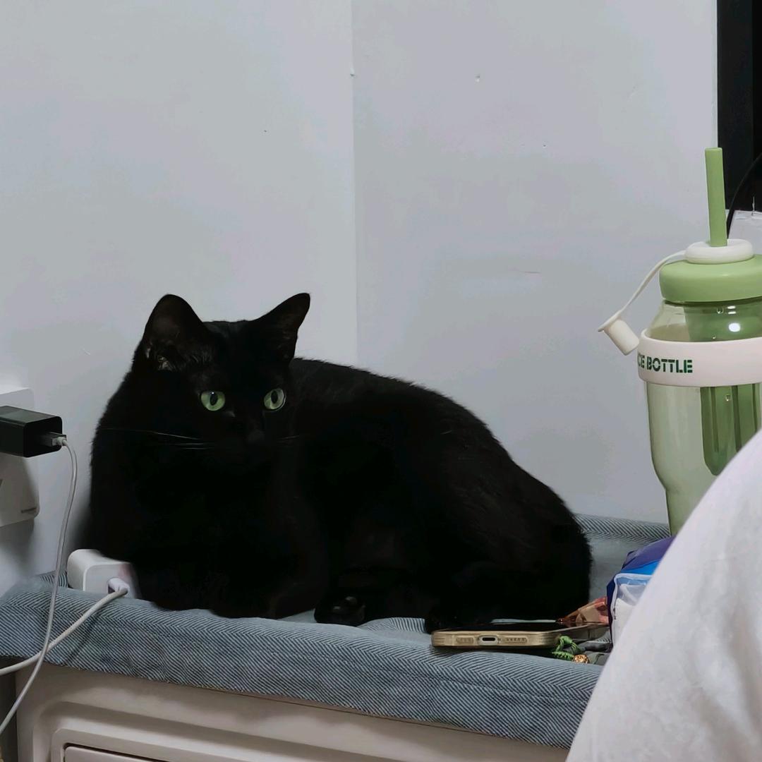 猜猜wo是谁