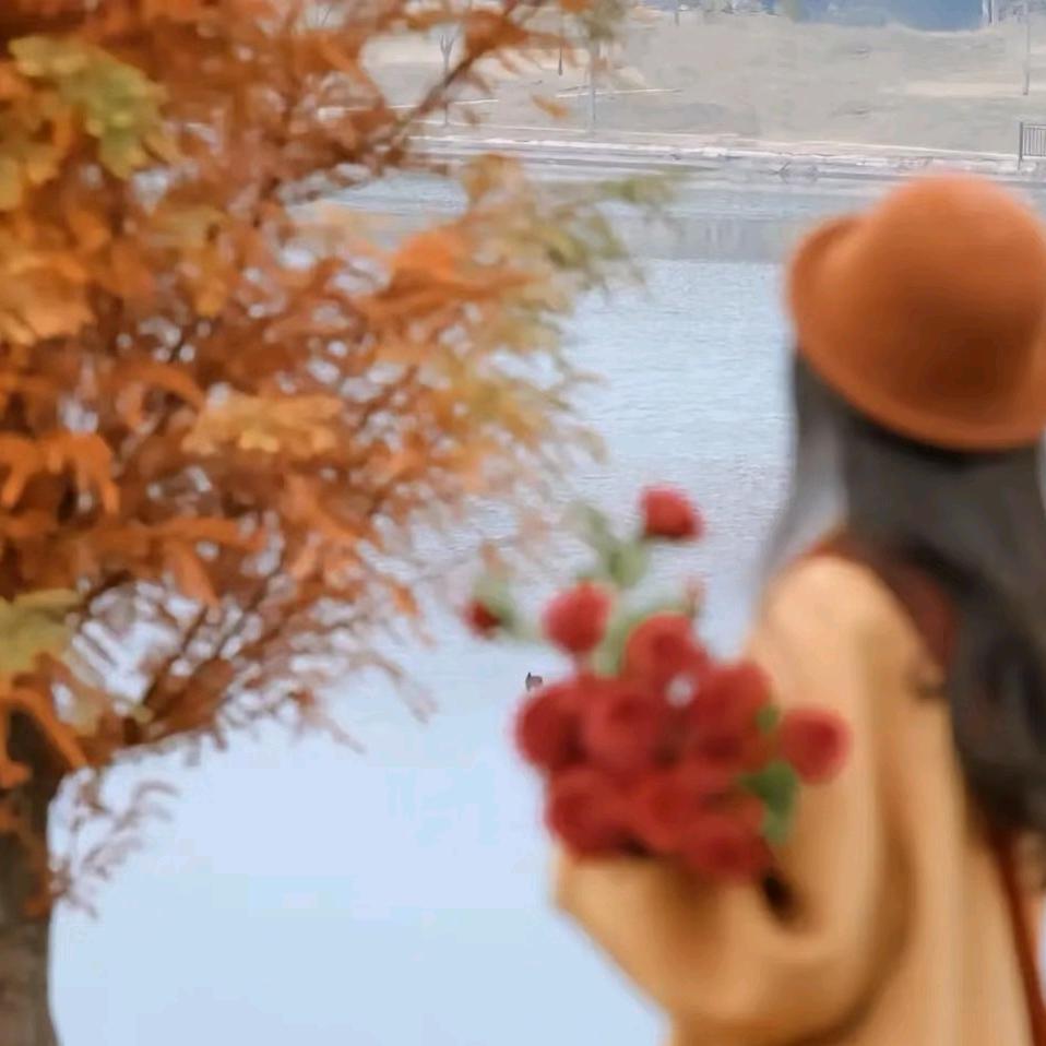 小羊泡芙日常分享