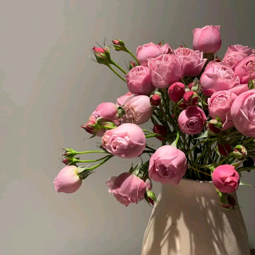 蕙质兰心👒