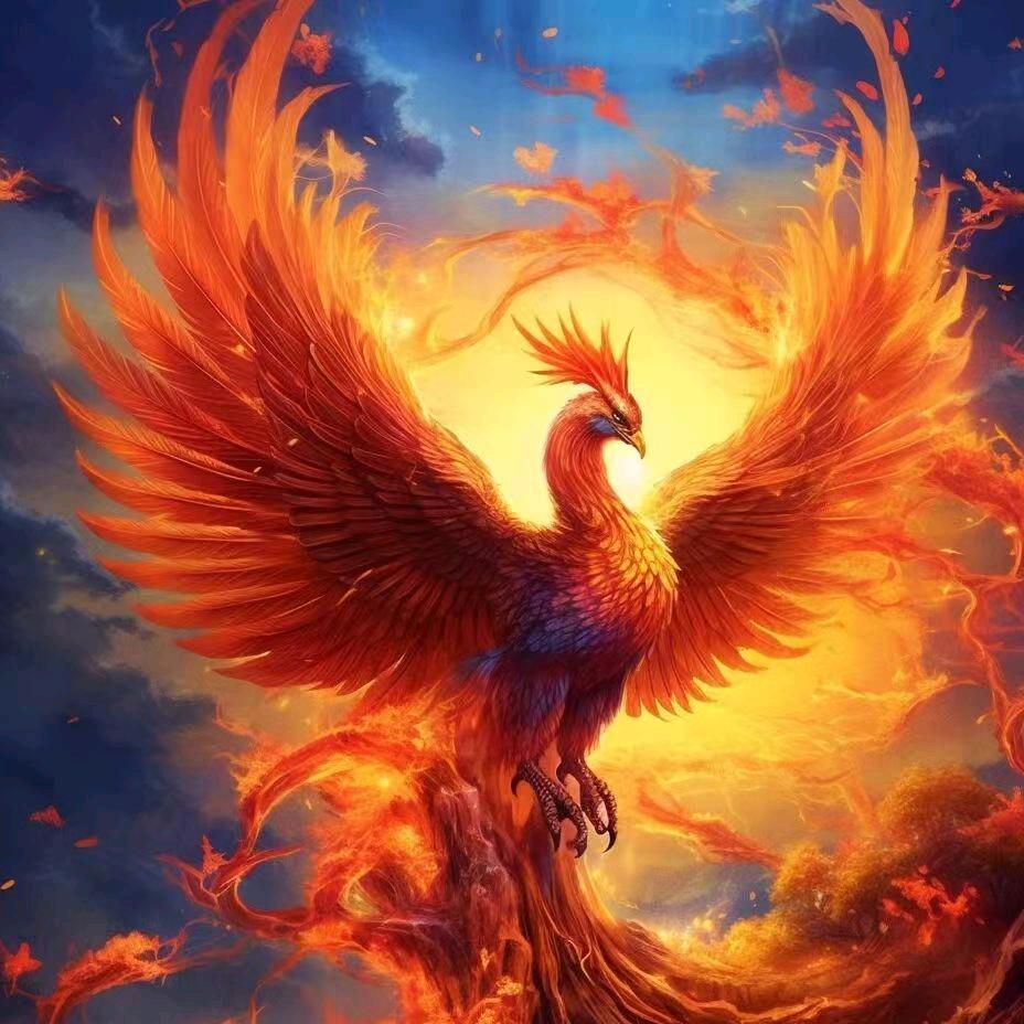 火凤凰