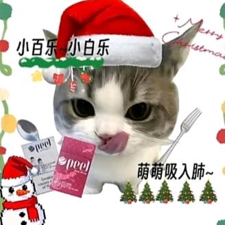 装魔王护被入机一脚踢死