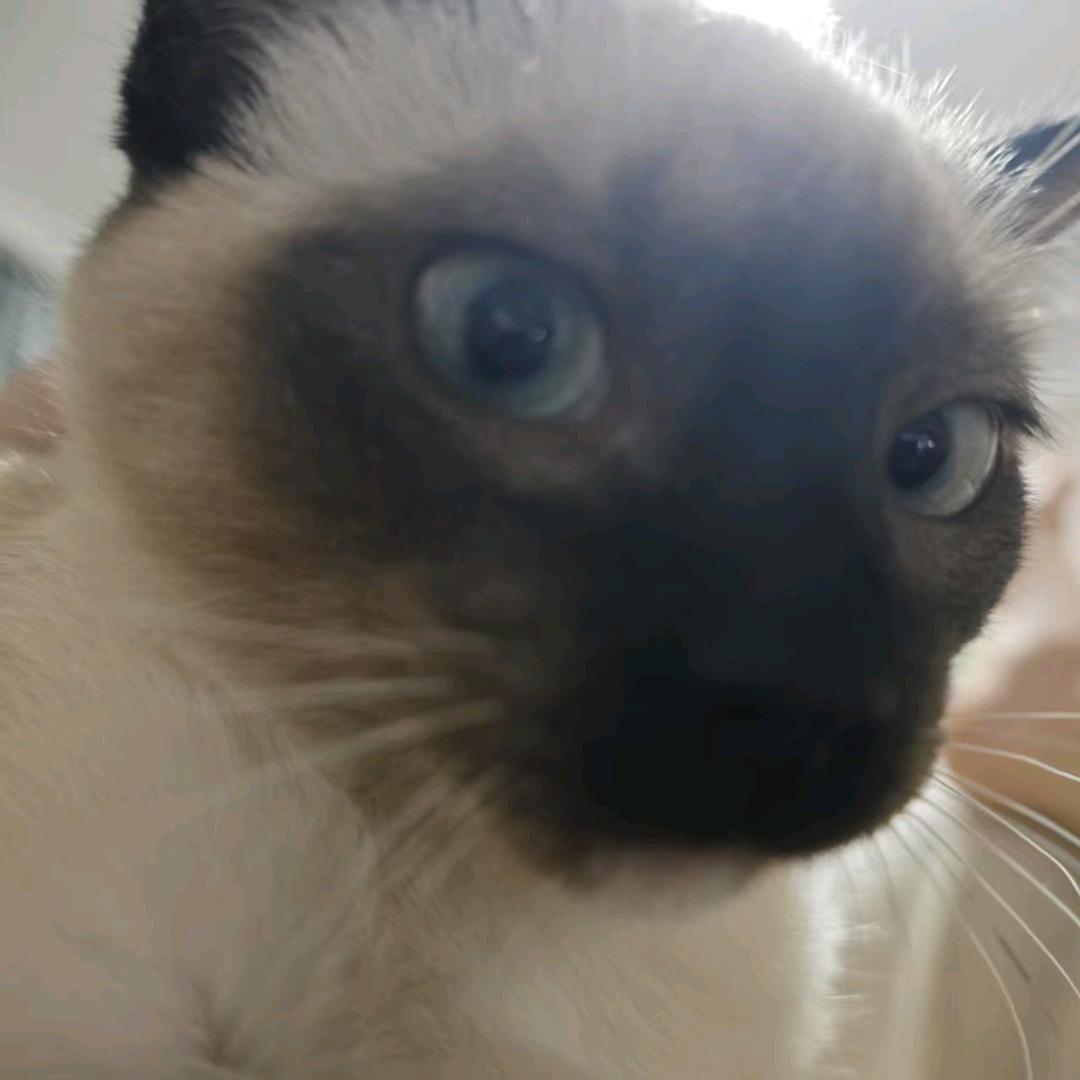 木啊马