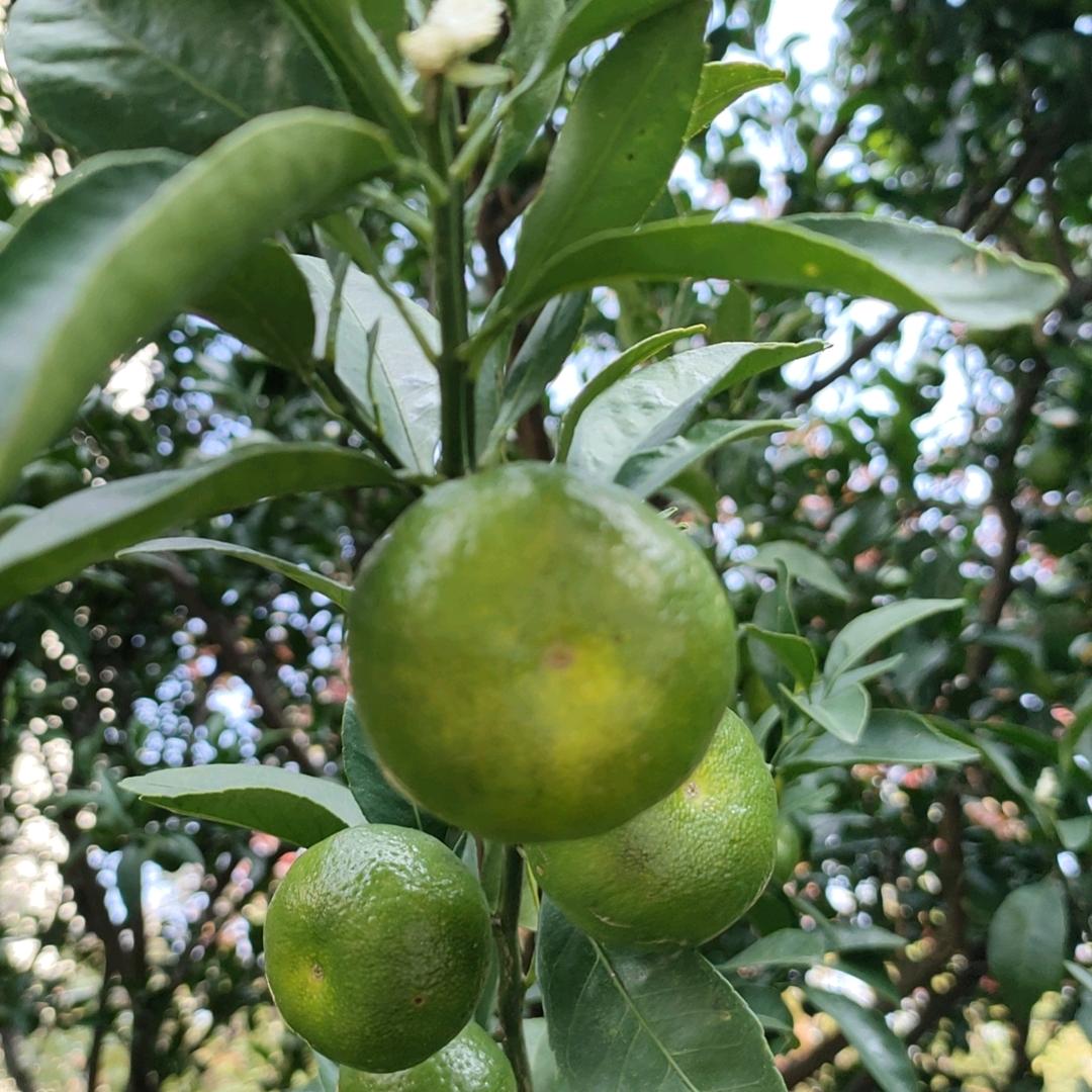 小不点家纺