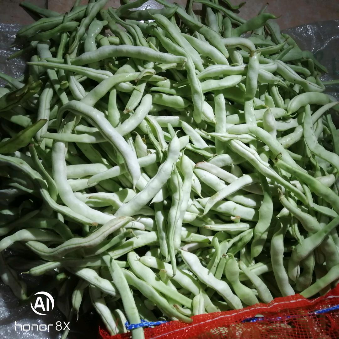 淄博大米粒果品